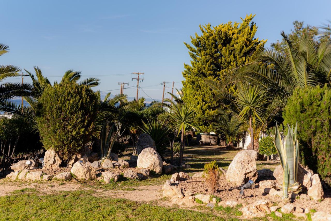 Marina'S Paradise Summer House Vagia  Luaran gambar